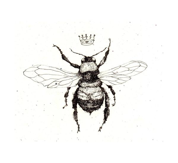 Bee Drawings Related Keywords & Suggestions - Bee Drawings Long ...