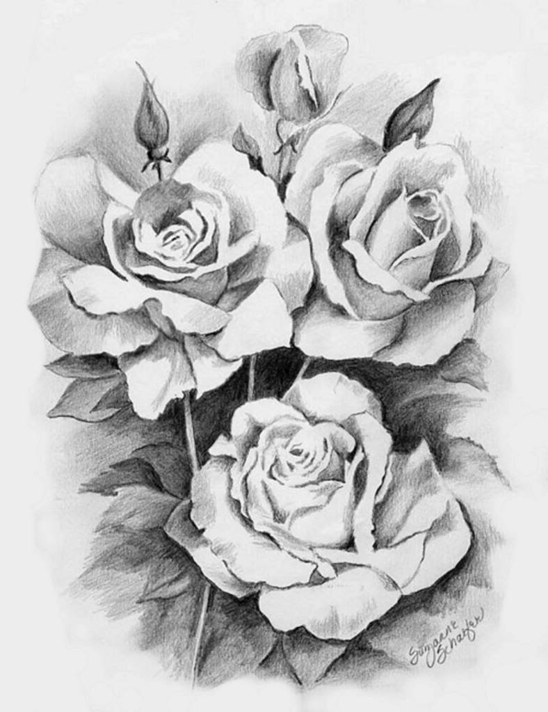roses-drawing.jpg Photo by Elise_066 | Photobucket