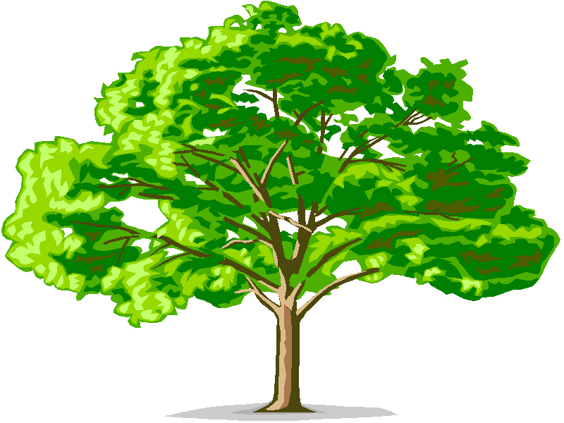free clipart elm tree - photo #32