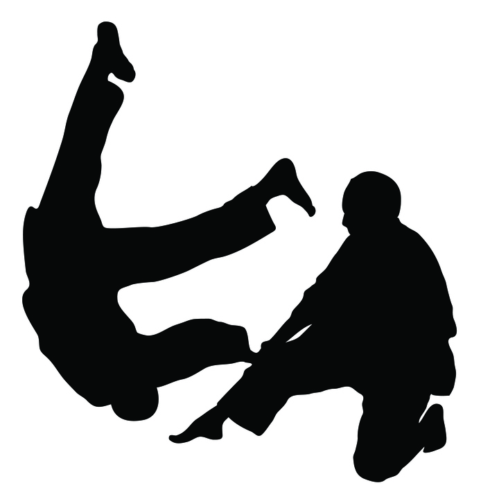 martial art - Santa Clarita Chiropractor