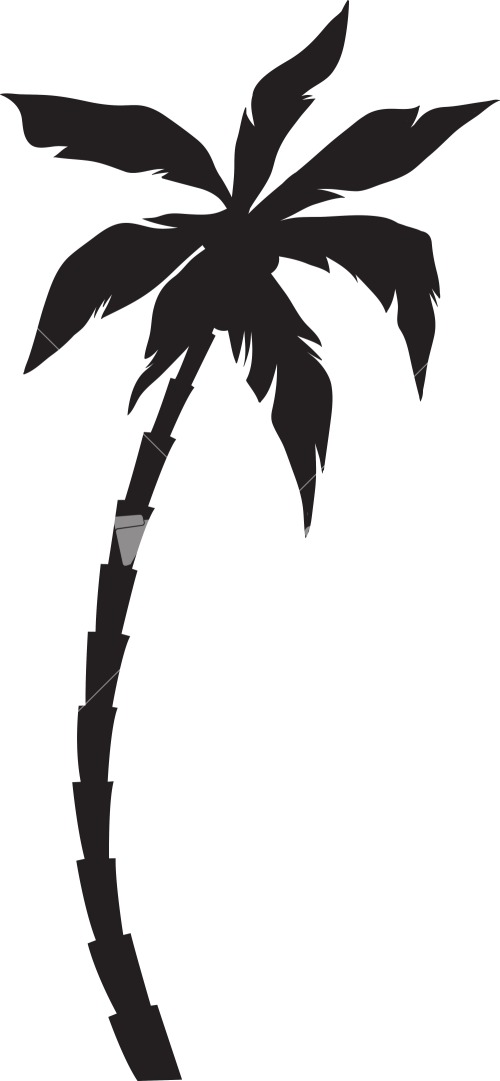 Vector Palm Tree Stock Image