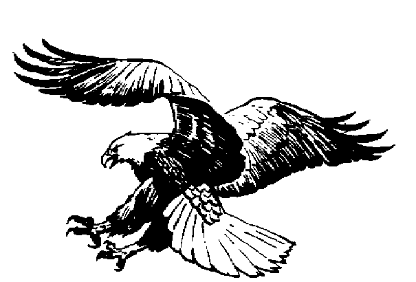 Black And White Pictures Of Eagles - ClipArt Best