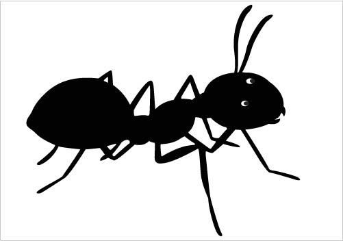Awesome Ant Silhouette Vector Clipart Download Ant Silhouette ...