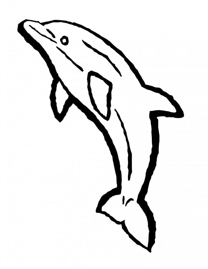 Free Dolphin Coloring Pages Adults | 99coloring.com