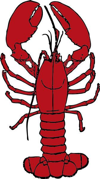 Lobster clip art - vector clip art online, royalty free & public ...
