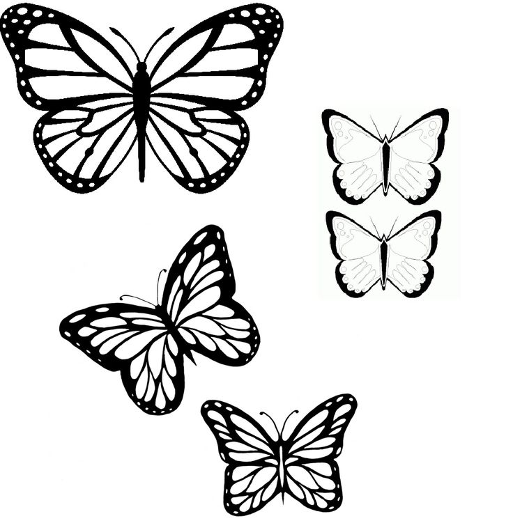 butterflies outline | tattoo | Pinterest