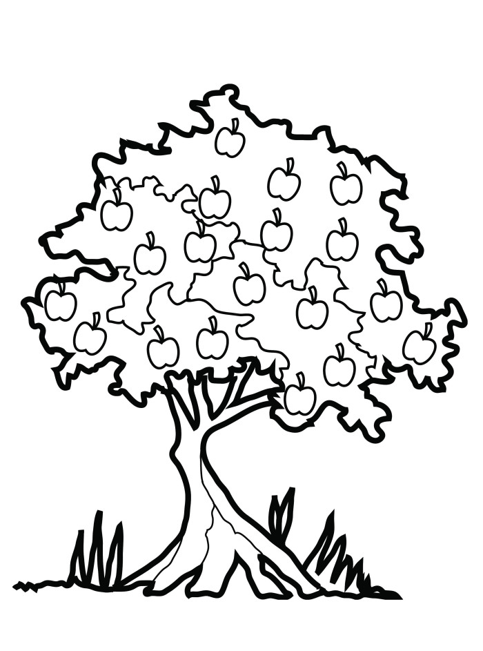 Printable Apple Tree Coloring Pages - Tree Coloring Pages : Free ...