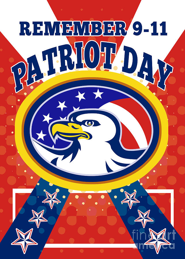 American eagle – Patriot day | Great images