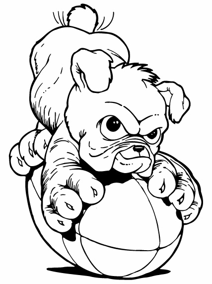 How To Draw Cartoon Bulldog - ClipArt Best