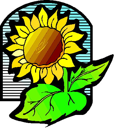 Clip Art - Clip art sunflower 200395