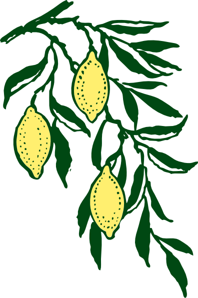 lemon leaves clipart - photo #16