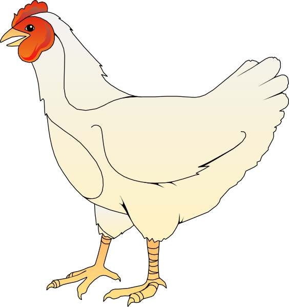 White Chicken clip art - vector clip art online, royalty free ...