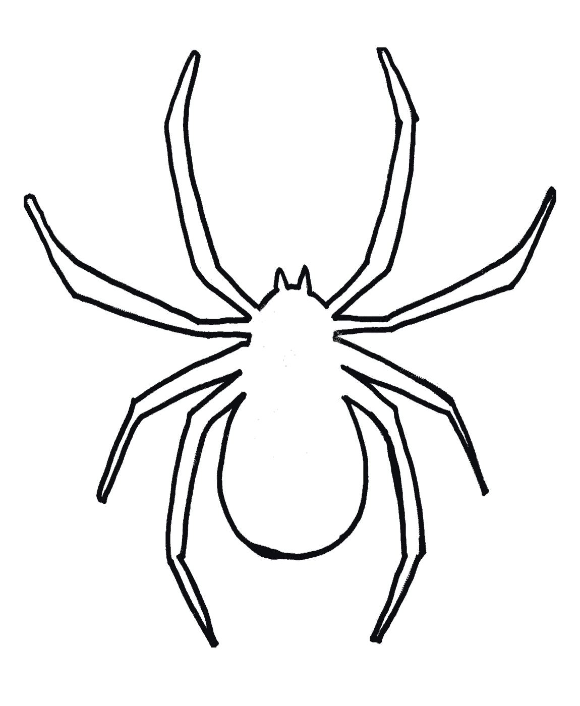 Halloween Spider Template Lol Cliparts.co