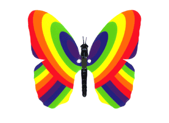 Color Order Rainbow Magnet-Wing