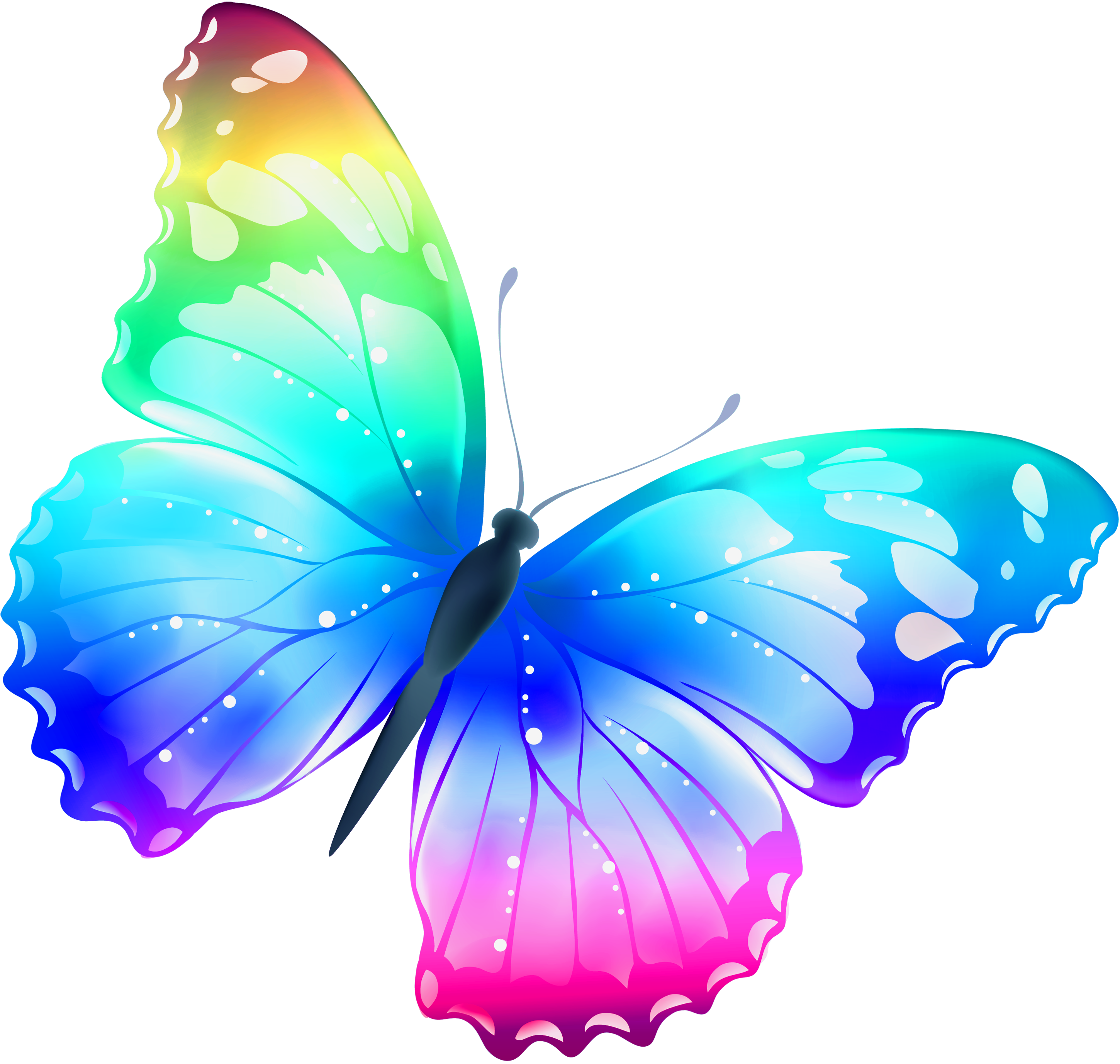 butterfly clipart no background - photo #2