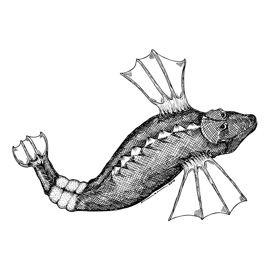 Fish Line Drawing - Cliparts.co