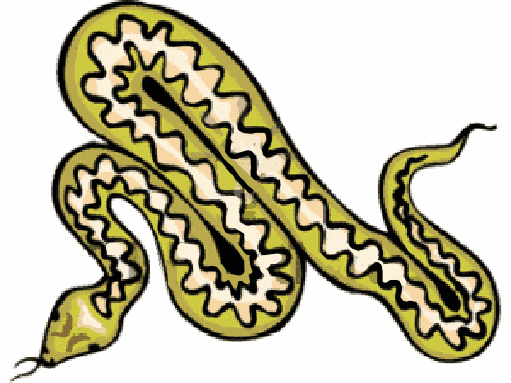 free clipart cartoon snakes - photo #16