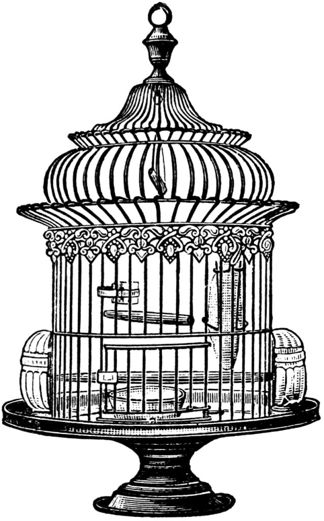 Free Vintage Bird Cage Clip Art | Clip art | Pinterest