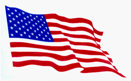 Amazon.com: United States of America Waving Flag on Clear ...