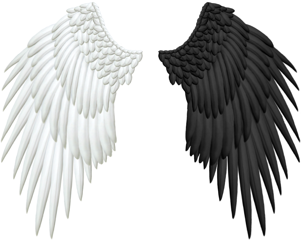 DeviantArt: More Like Good and Evil Angel Wings PNG by Thy-Darkest ...