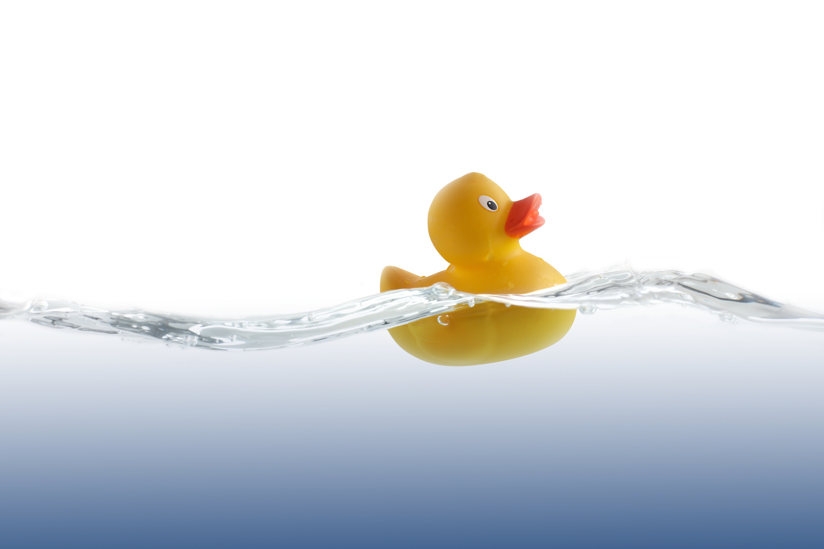 Rotary's Rubber Ducky Derby on April 26th