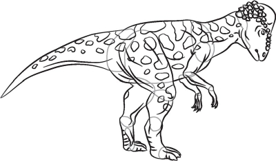 How to Draw Pachycephalosaurus - HowStuffWorks