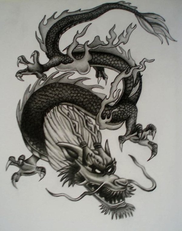 DeviantArt: More Artists Like Chinese Dragon by terminatress