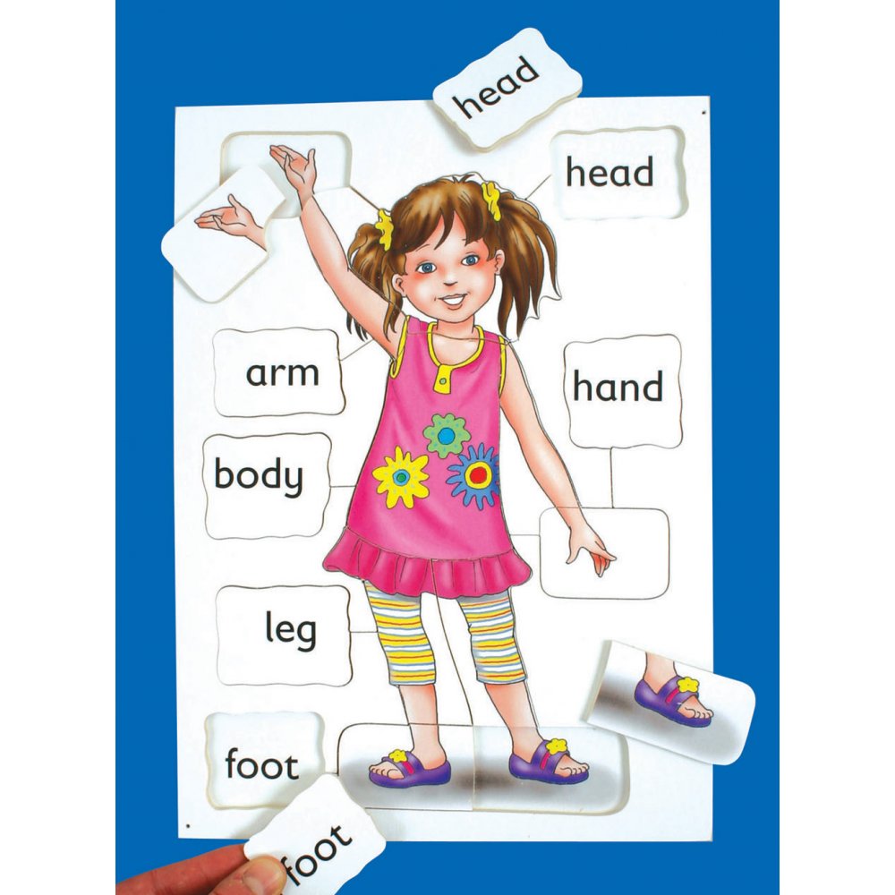 Our Bodies Teaching Resources, Body Parts, EYFS, KS1 | Early Years ...