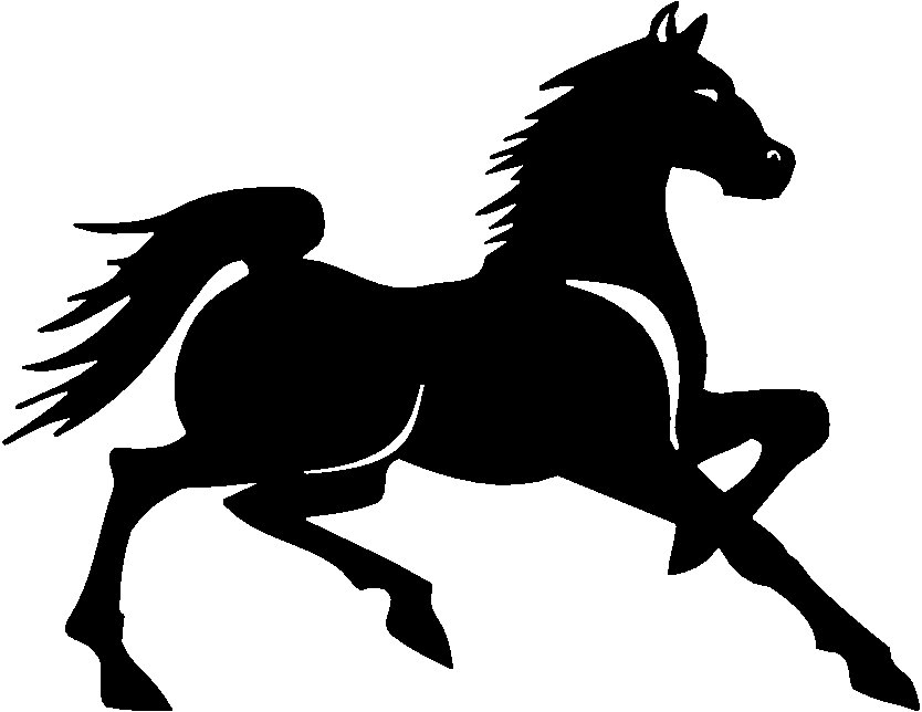 Horses Animal Vinyl Car or WALL Decal Stickers 11, horse decals ...