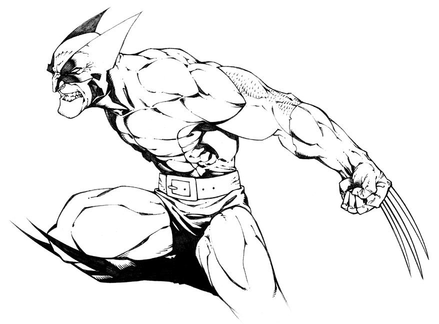 Wolverine in pencil, in Brad Green's Random Stuff Comic Art ...
