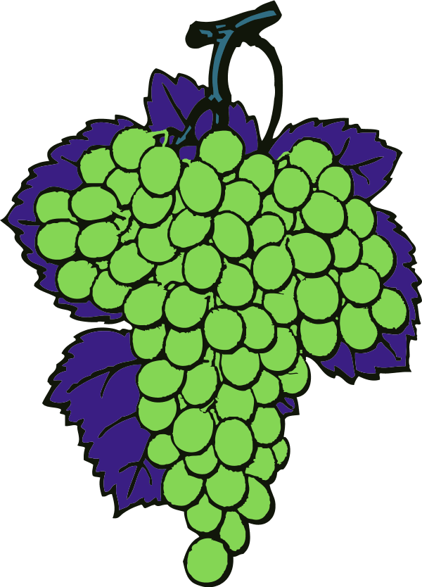 grapes vine fruit - vector Clip Art