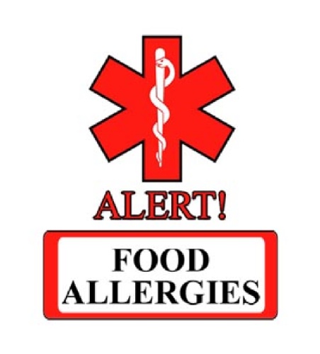 Food Allergies Medical Alert Tattoos for Kids