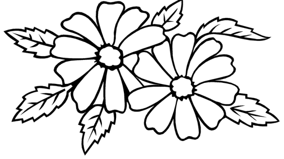 Jasmine Flower Coloring Pages - Flower Coloring pages of ...