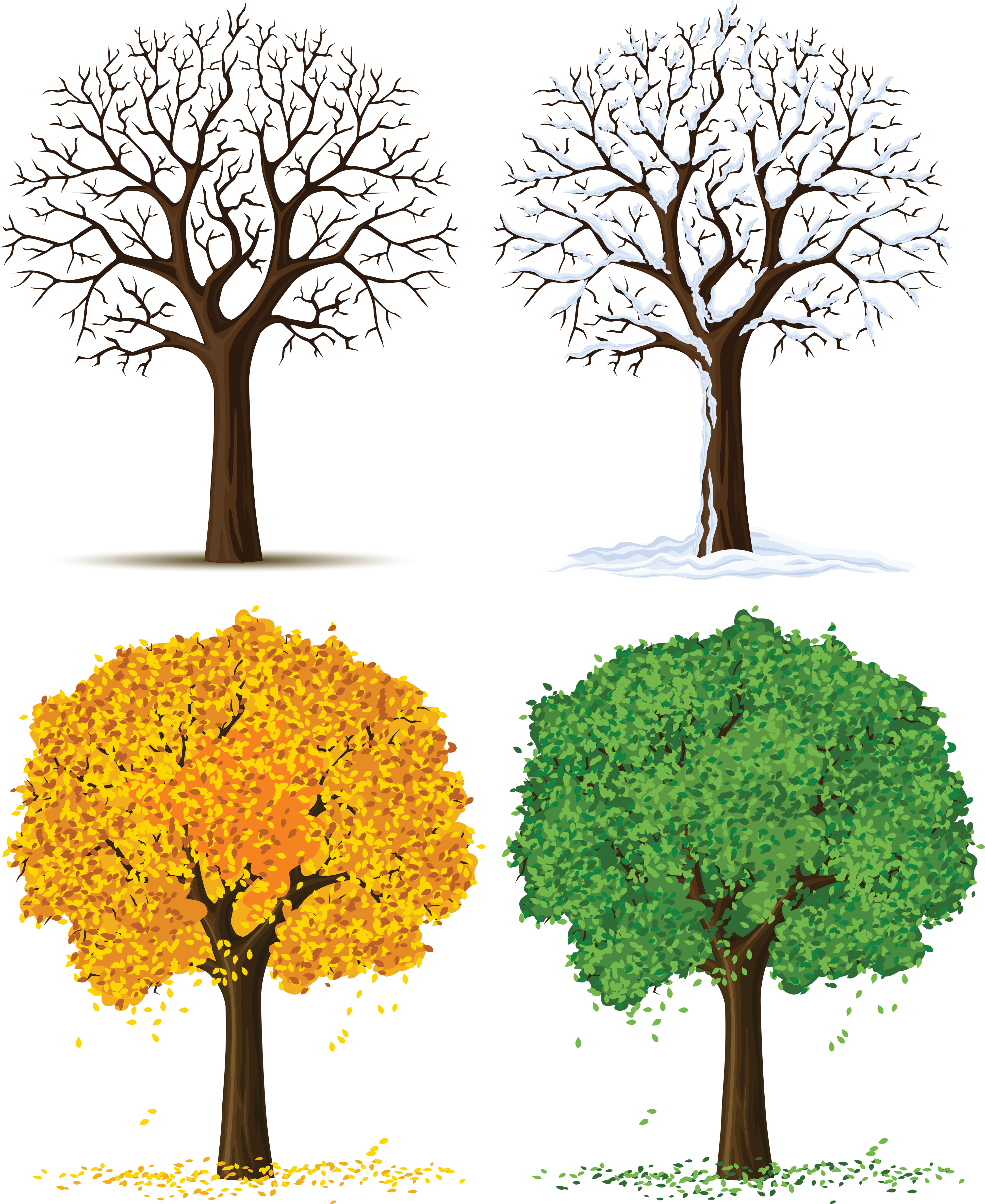 Four Seasons Trees PNG Clipart