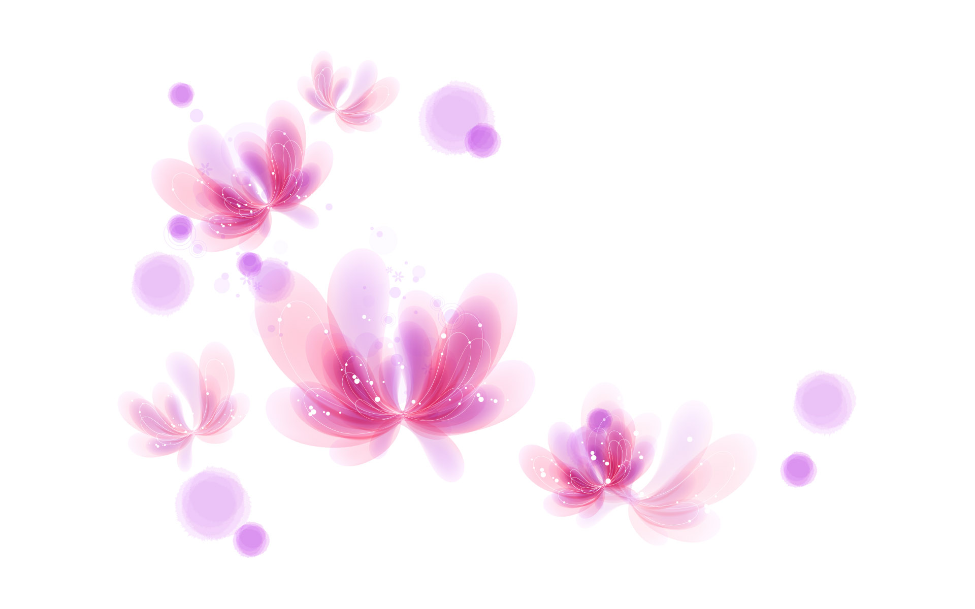 Wallpapers For > Pink And White Butterfly Background