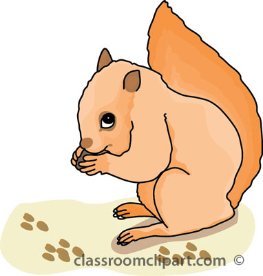 squirrel_eating_nuts_31012.jpg