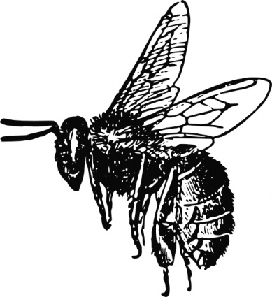 Bee Line Art - ClipArt Best