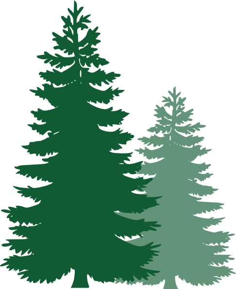 Clip Art Pine Tree - ClipArt Best