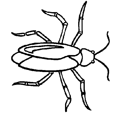 Coloring page Cockroach to color online - Coloringcrew.