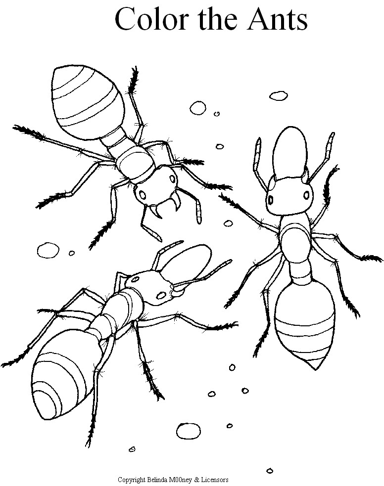 How to Draw Ant Drawing, Free Printable Ant Coloring Pages For ...