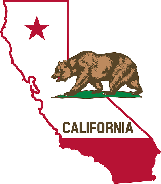 CALIFORNIA, BEAR, FLAG, MAP, USA, GEOGRAPHY, AMERICA - Public ...