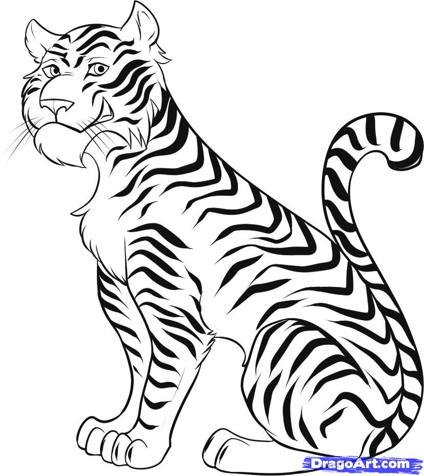 How to Draw a Cartoon Tiger, Step by Step, Rainforest animals ...
