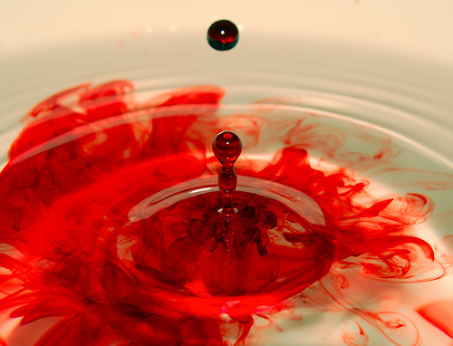 One drop of blood « Brave Fish