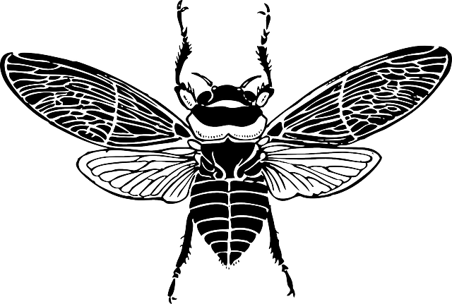 TOP, BEE, WINGS, INSECT, HONEY, SILHOUETTE, BUG, BEES - Public ...