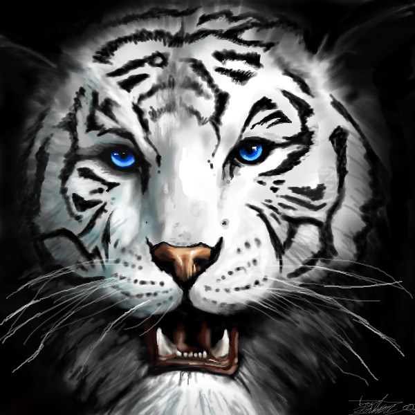2draw.net - boards - Advanced - The white tiger