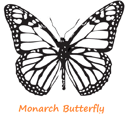 Monarch Butterfly Template Clipartsco