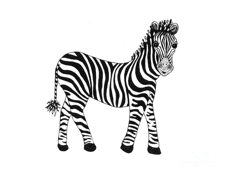 Zebra Drawing - Gallery