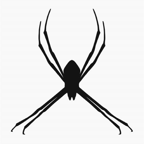 St. Andrew's Cross Spider Clip Art | crafty cauldron | Pinterest