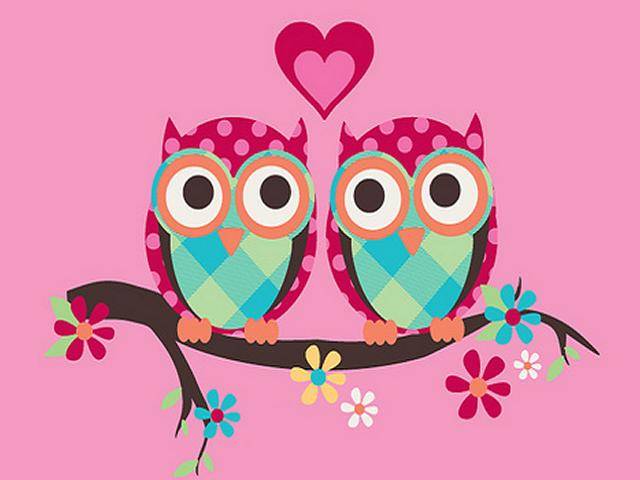 Two Cute Owl Wallpaper | cute Wallpapers