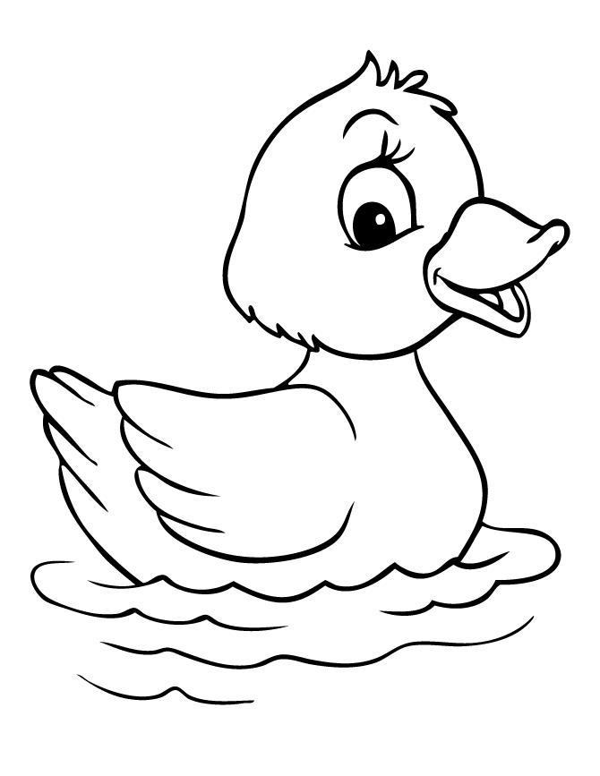 Ducks on Pinterest | Duck Crafts, Rubber Duck and Baby Ducks